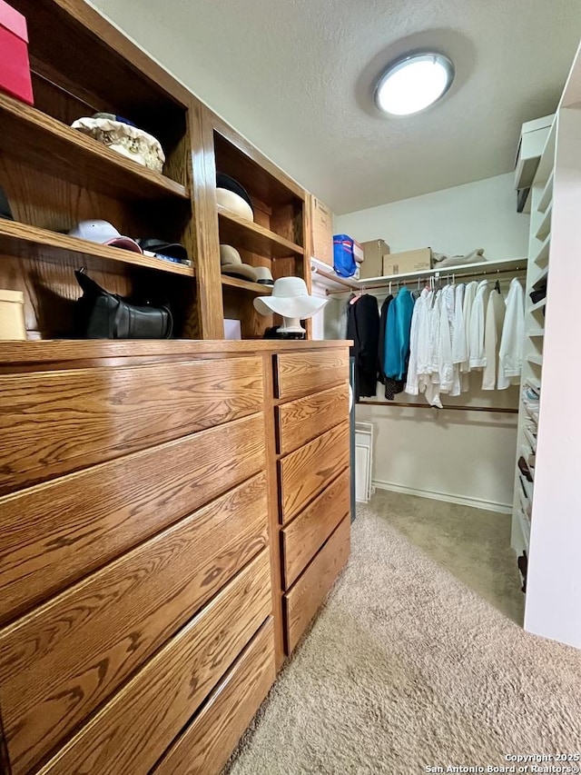 spacious closet featuring carpet