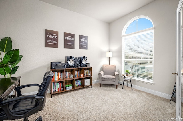 carpeted office featuring a healthy amount of sunlight and baseboards