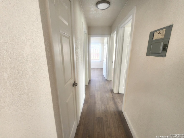 hallway featuring a textured ceiling, dark wood-style flooring, electric panel, and baseboards