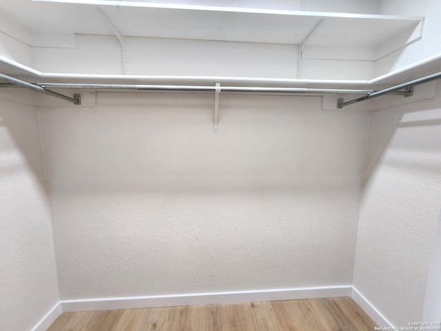 spacious closet featuring light wood finished floors