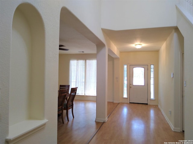 foyer with a healthy amount of sunlight, baseboards, and wood finished floors