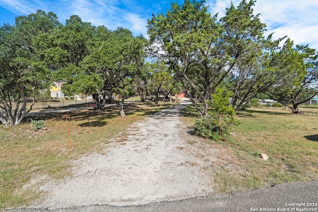 view of road with driveway