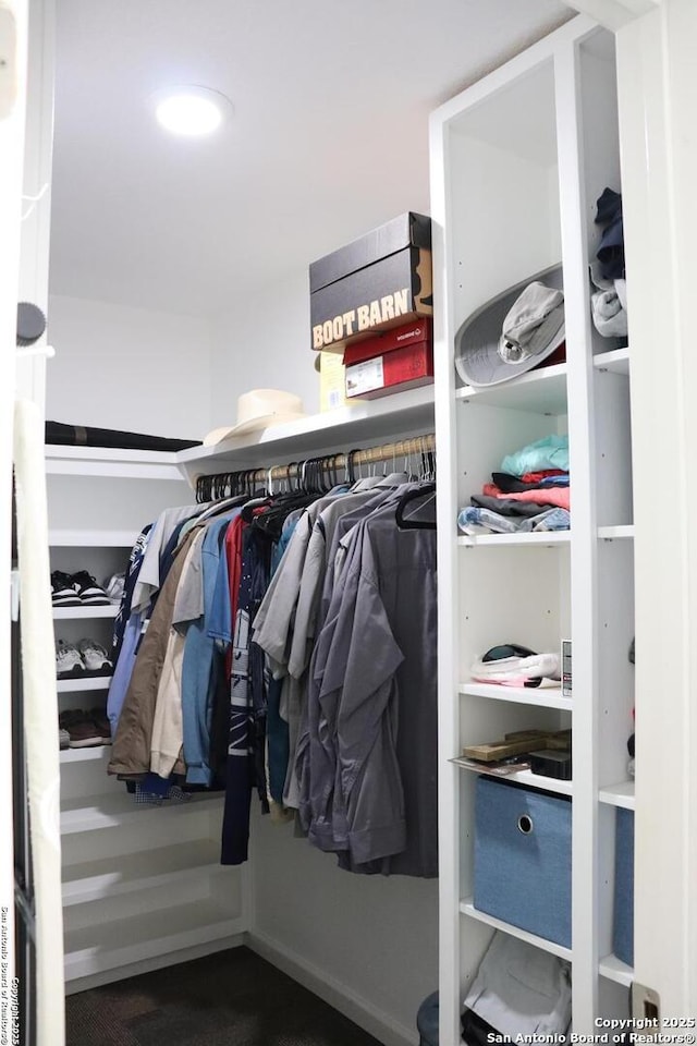 view of spacious closet