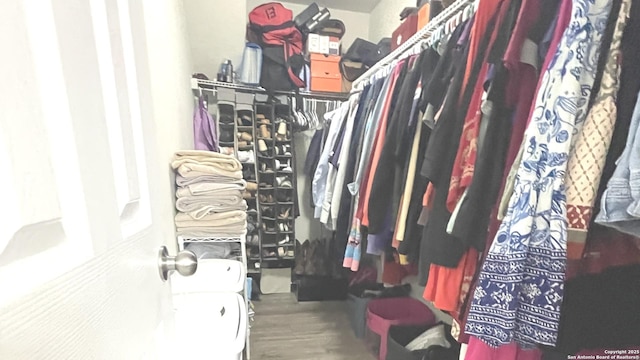 walk in closet with wood finished floors