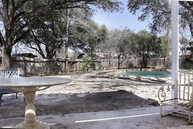 view of swimming pool featuring a patio area, a fenced backyard, and a fenced in pool