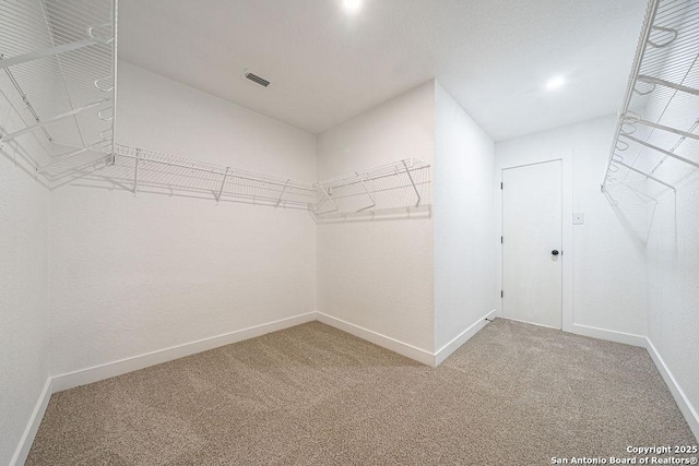 walk in closet featuring carpet and visible vents