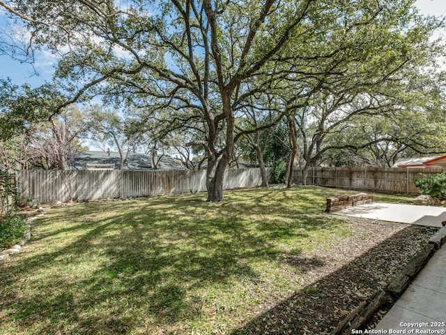 view of yard featuring a fenced backyard and a patio