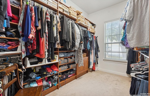 spacious closet with carpet flooring