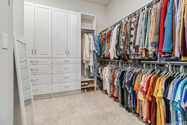 spacious closet with carpet floors