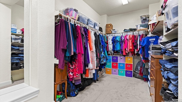 walk in closet featuring carpet floors