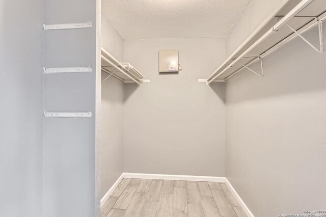 walk in closet featuring wood finished floors