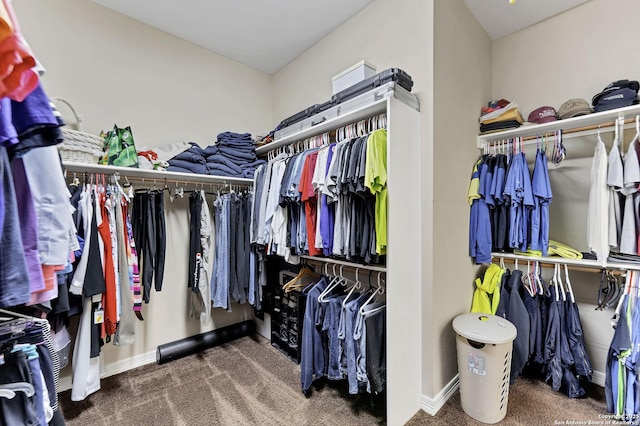 spacious closet featuring carpet