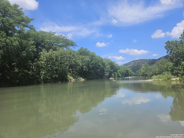 property view of water with a mountain view and a forest view