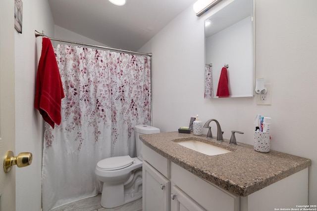 full bathroom featuring vanity, a shower with shower curtain, and toilet