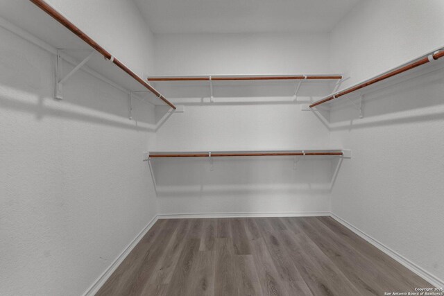 walk in closet with wood finished floors