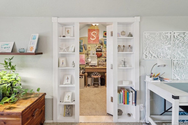 room details featuring built in features and carpet