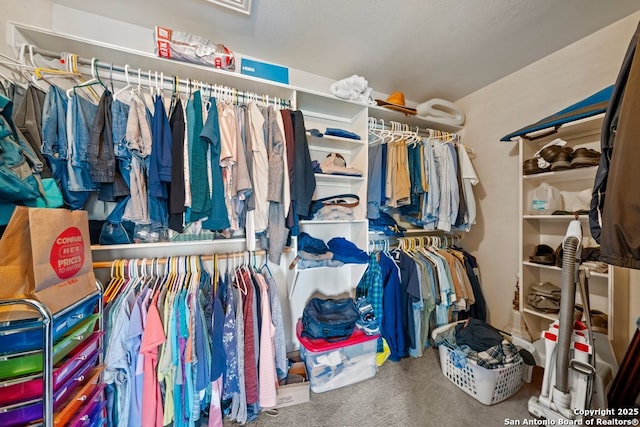 spacious closet with carpet