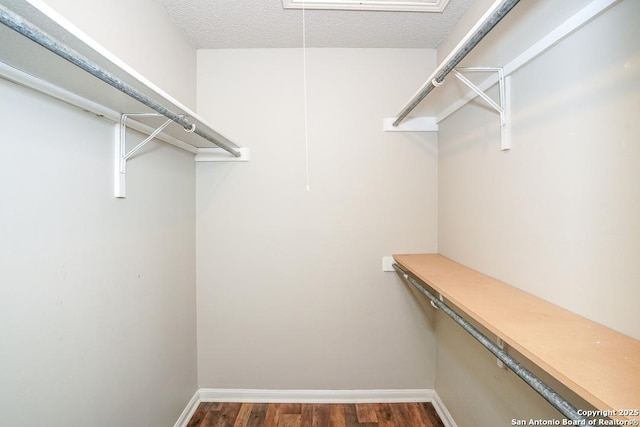 walk in closet featuring dark wood-style floors