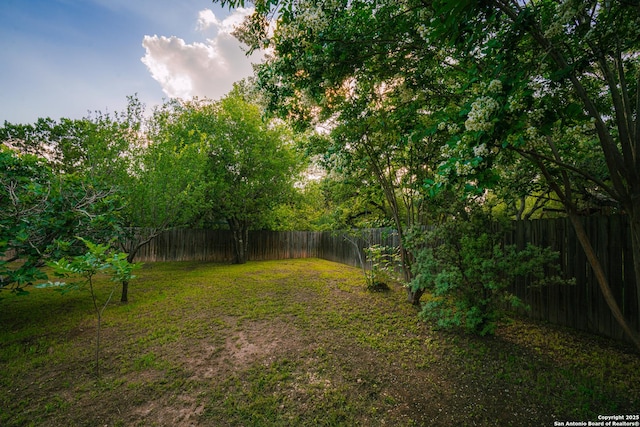 view of yard with a fenced backyard