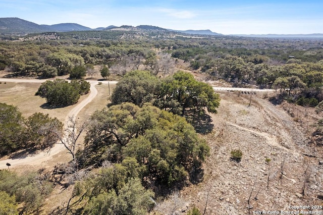 drone / aerial view with a forest view and a mountain view