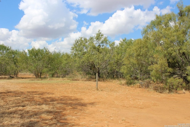 view of local wilderness