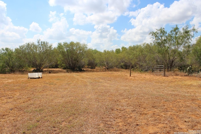 view of yard with a rural view