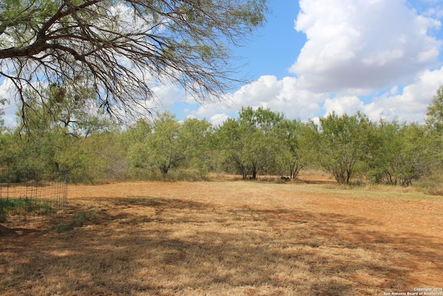 view of nature