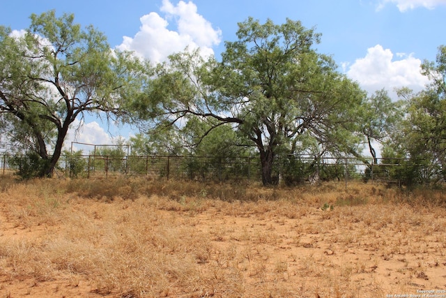 view of local wilderness