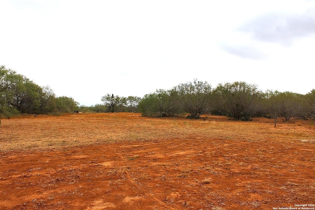 view of local wilderness with a rural view