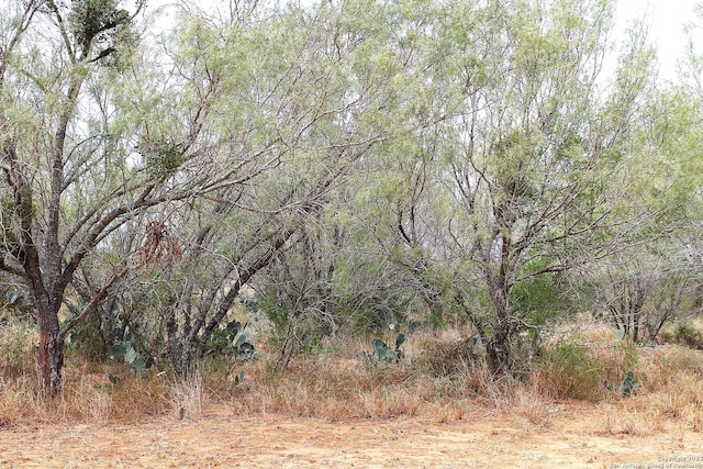 view of landscape featuring a forest view