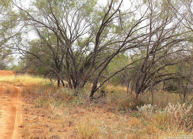 view of nature