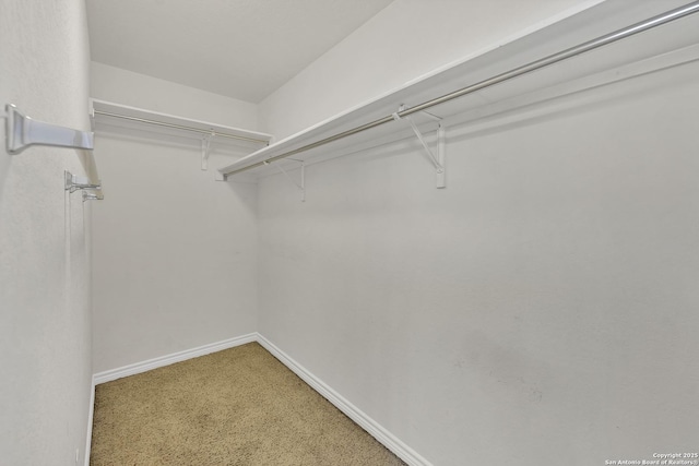 view of walk in closet