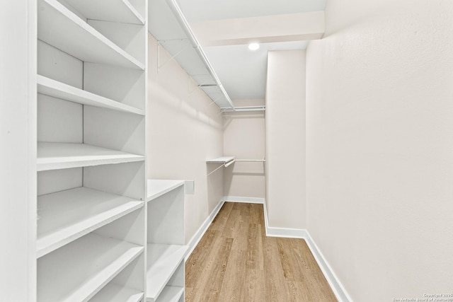 spacious closet featuring wood finished floors