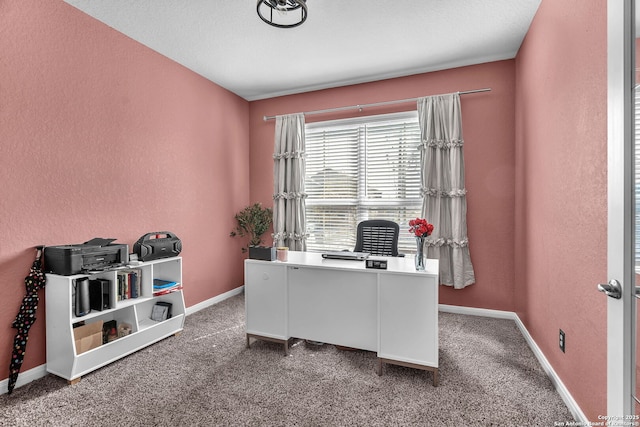 office featuring carpet flooring, a textured wall, and baseboards