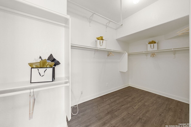 spacious closet featuring wood finished floors