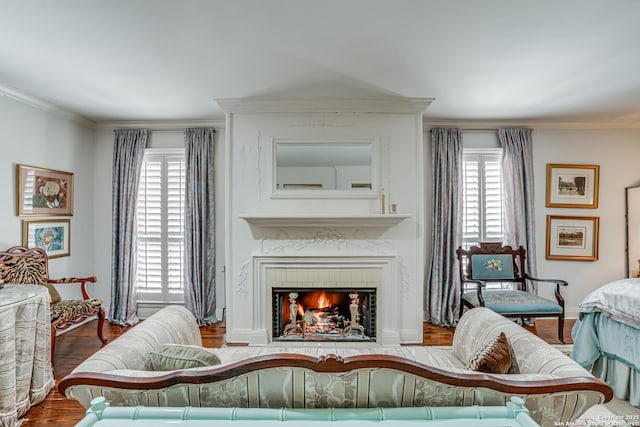living area featuring a large fireplace, plenty of natural light, wood finished floors, and ornamental molding