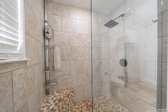 full bathroom with toilet and walk in shower