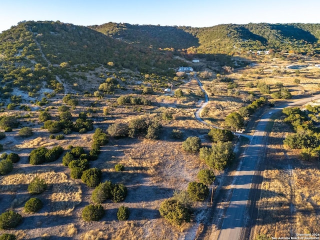 view of mountain feature