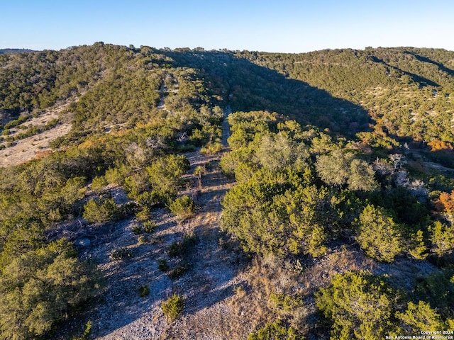 birds eye view of property with a forest view