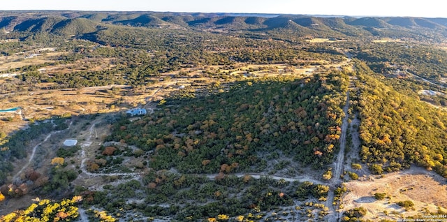 drone / aerial view with a mountain view