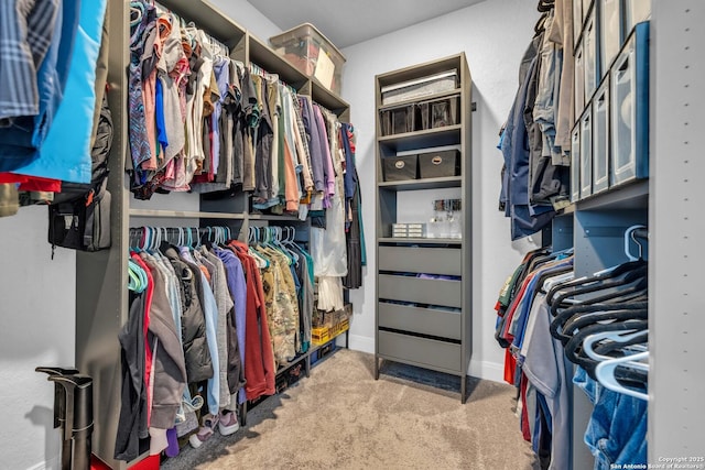 walk in closet with carpet floors