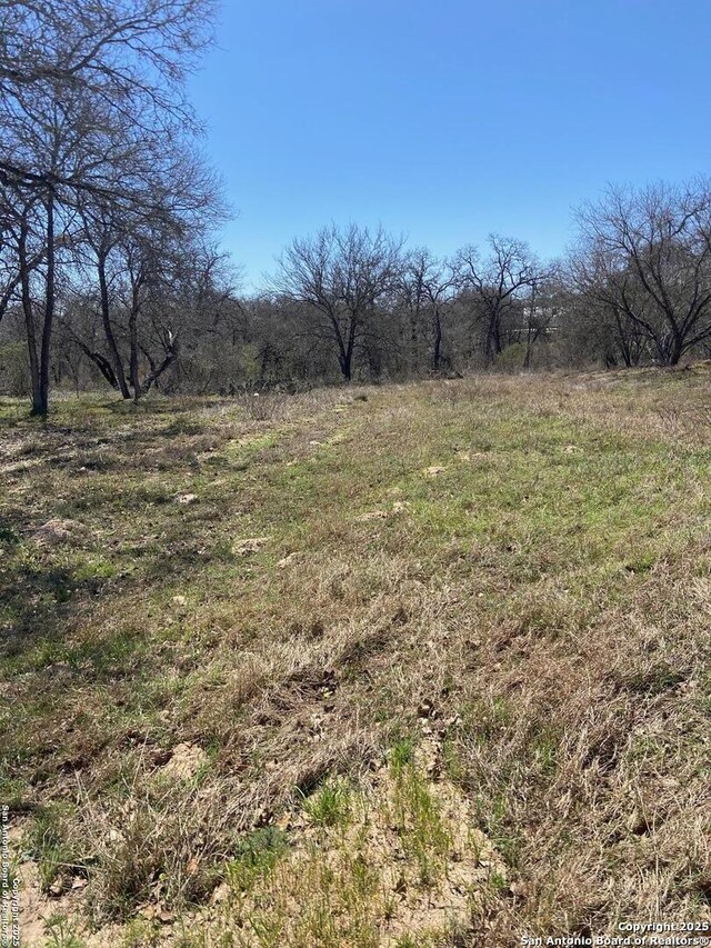 246 Timber Ln, Vernia, TX 78121