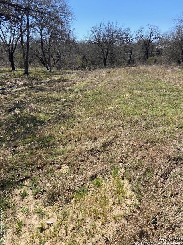 246 Timber Ln, Vernia, TX 78121