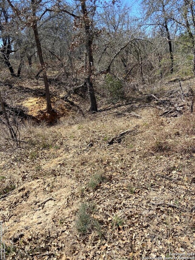 246 Timber Ln, Vernia, TX 78121