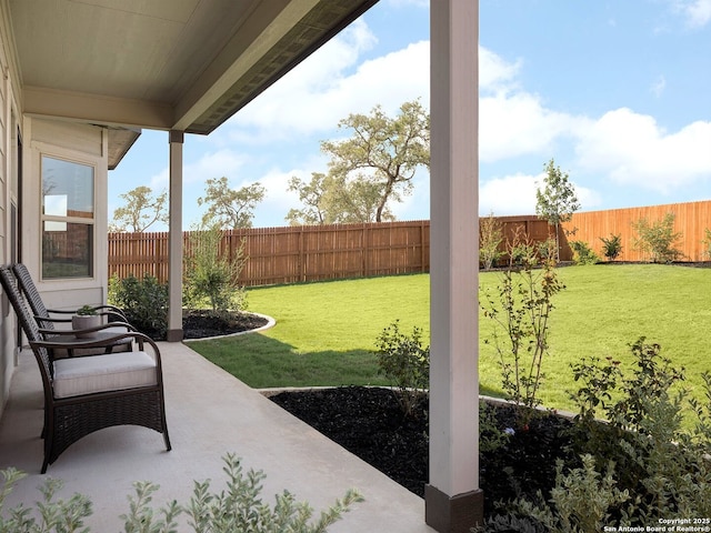 view of yard with a patio and a fenced backyard