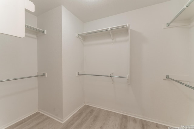 walk in closet with light wood-type flooring