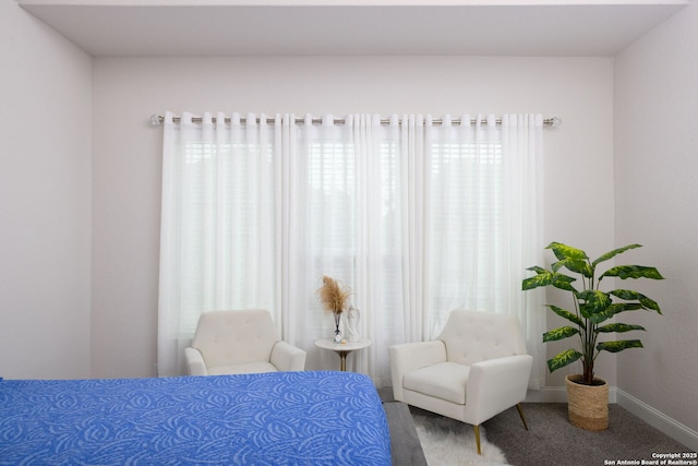 bedroom featuring baseboards and carpet flooring