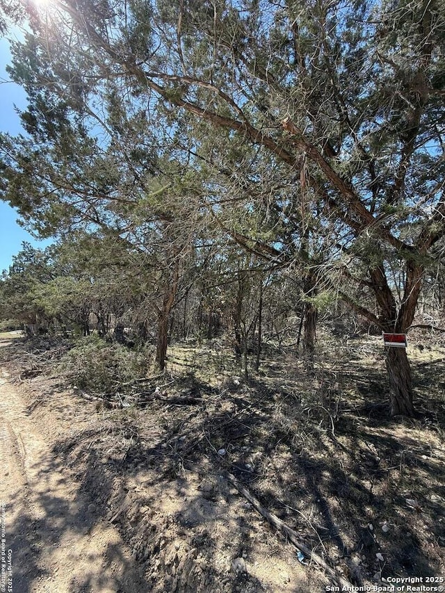 Listing photo 2 for TBD Paladin, Bandera TX 78003