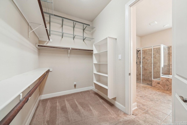 spacious closet featuring carpet floors