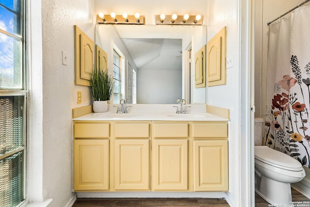 full bathroom with double vanity, toilet, and a sink